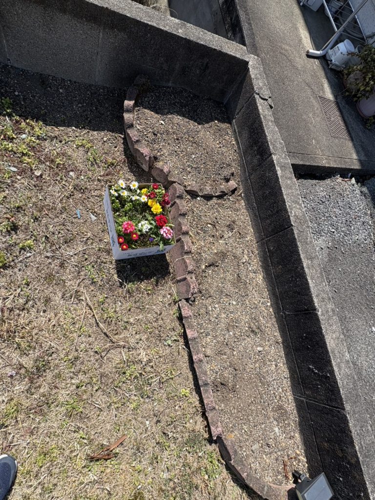 ななちゃんパソコン教室-コメリで買った花