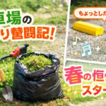 草むしりと黄色い車止め