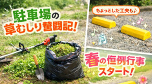 草むしりと黄色い車止め