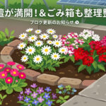 花壇とゴミ箱の整理のブログ