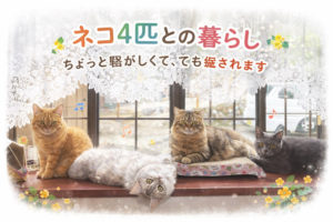 ネコ4匹との暮らし